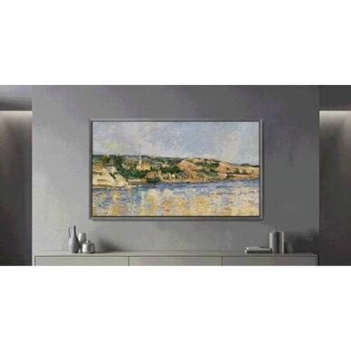 Samsung QE48S95HAEXXH QE48S95HAEXXH 48'' 4K Ultra HD Smart TV 2