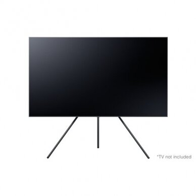 Samsung VG-SESB11K 65" TV stovas 2